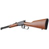 ROSSI - CARABINES A LEVIER SOUS GARDE - CARABINE RIO BRAVO BOIS 22LR