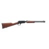 ROSSI - CARABINES A POMPE - CARABINE GALLERY BOIS 22LR