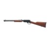 ROSSI - CARABINES A POMPE - CARABINE GALLERY BOIS 22LR