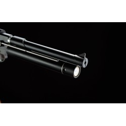 SNOWPEAK - PISTOLETS A AIR - PISTOLET PP750 PCP C5.5